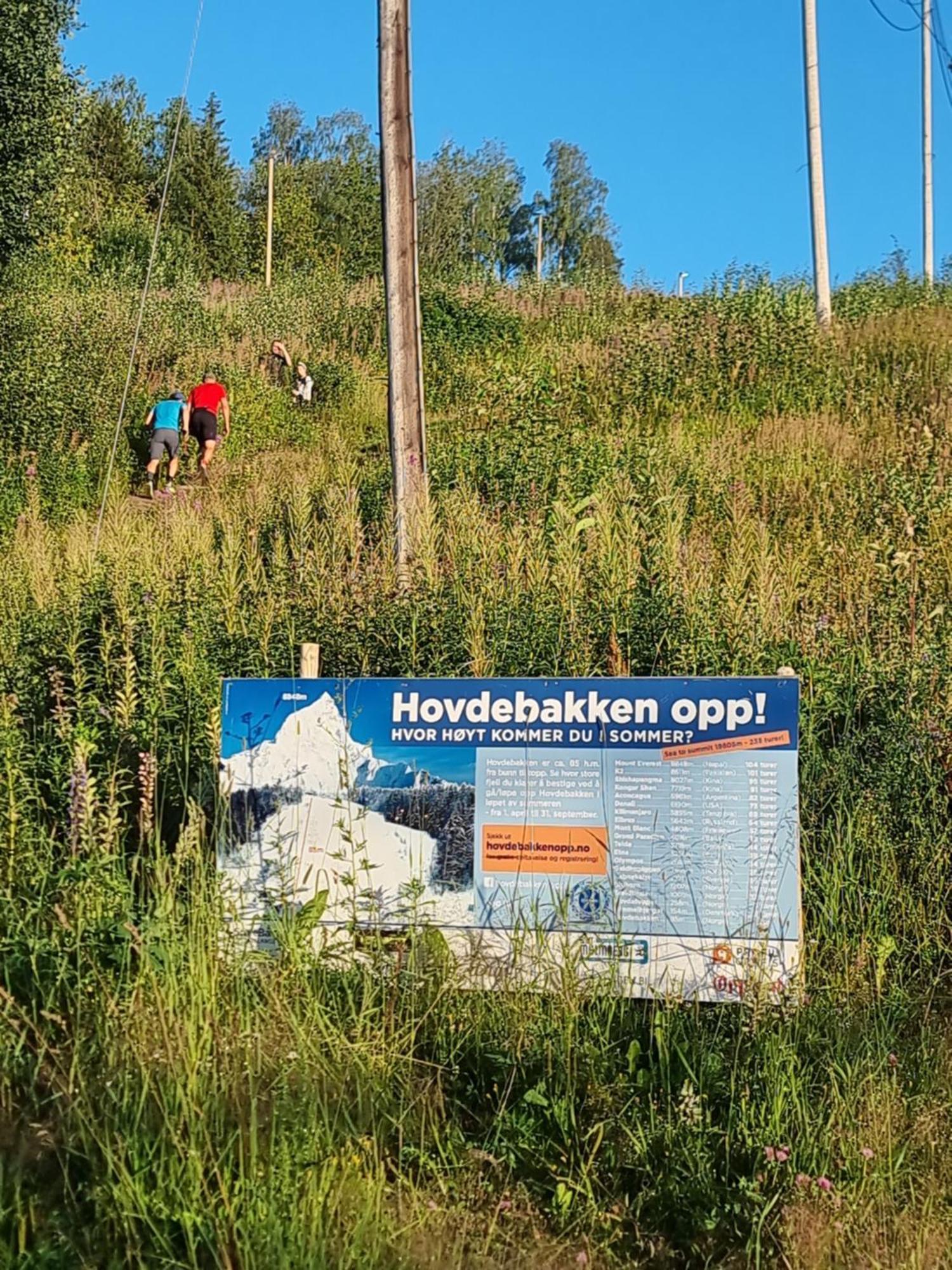 Gjovik Hovdetun Hostel Εξωτερικό φωτογραφία